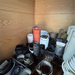 ポット 鉢 トレイ 大量セット 早い者勝ちの画像