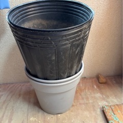 ポット 鉢 トレイ 大量セット 早い者勝ちの画像