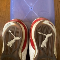 PUMA プーマ スニーカー（レッド）の画像