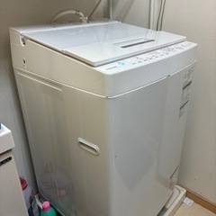 2019年式TOSHIBA洗濯機の画像