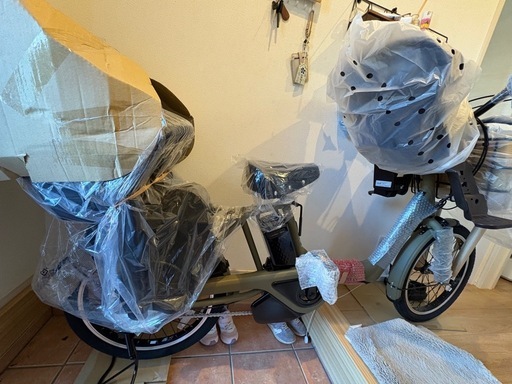 Panasonic電動自転車ギュット・アニーズDX20インチ