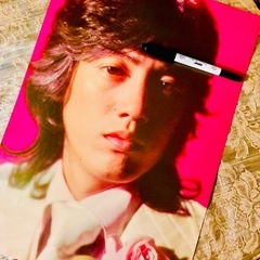 ジュリー　タイガースの沢田研二　小柳ルミ子　昭和レトロビンテージ当時物の画像