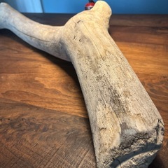 12、どっしり〜男前　流木、天然物、インテリア、オブジェの画像
