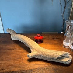 12、どっしり〜男前　流木、天然物、インテリア、オブジェの画像