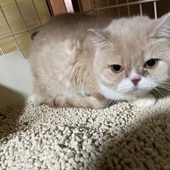 ６５歳までの方単身者も可能