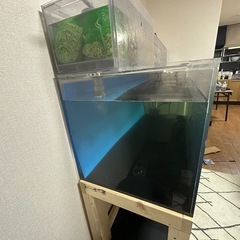 大型180cm水槽フルセットの画像