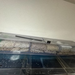 大型180cm水槽フルセットの画像