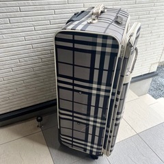 BIGキャリーケースの画像