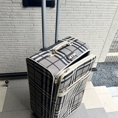 BIGキャリーケースの画像