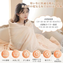 電気毛布 洗える 188*130CM 6段階温度調整 自動オフ機能 丸洗い可 タイマー機能 電気毛布 省エネ ダブルサイズ ベージュの画像