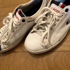 LACOSTE  スニーカー　白の画像