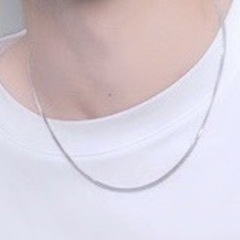 プラチナネックレスpt850-10gの画像