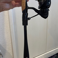 ブラックバス釣りセット(Daiwa ブレイゾン、タトゥーラ)の画像