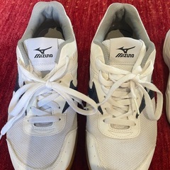 【決まりました】ミズノ 体育館シューズ 27.0EE　紺ライン　美品の画像