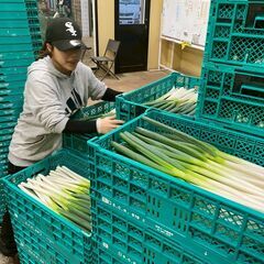 平均年齢２５歳！楽しい職場の農業スタッフ募集中！の画像
