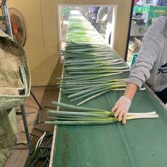 平均年齢２５歳！楽しい職場の農業スタッフ募集中！の画像