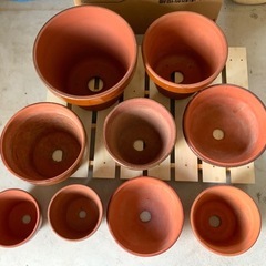 【洗浄済み】 植木鉢 大鉢 13号 11号 たくさんまとめて /鉢植え/植え替え/庭の画像