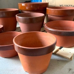 【洗浄済み】 植木鉢 大鉢 13号 11号 たくさんまとめて /鉢植え/植え替え/庭の画像