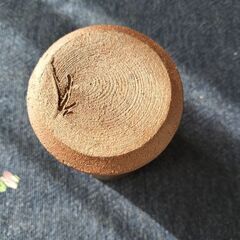 フリーカップ　250円の画像