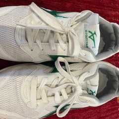 GRM star 体育館シューズ 26cm EE　グリーンライン　美品の画像