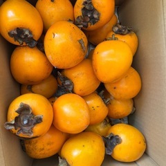 愛宕柿渋抜き2個の画像