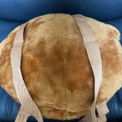 11/28夜.29AMのみ！ティムのリュックの画像