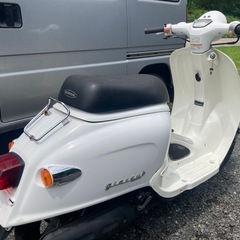 ジョルカブ  
の画像