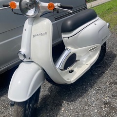 ジョルカブ  
の画像