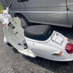 ジョルカブ  
の画像