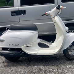 ジョルカブ  
の画像