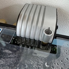 ミナミヌマエビ約20匹　水槽ごとの画像