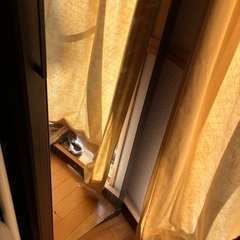 ニトリ ミラーワードローブ(アーデル2 40M-R DBR)の画像