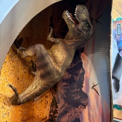 ラジコン、恐竜セット売りの画像