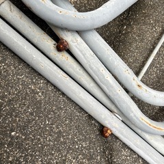 お取引中　ジャンク　ベンチイスの本体？の画像