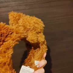 11/28夜.29AMのみ！ティムのカチューシャの画像