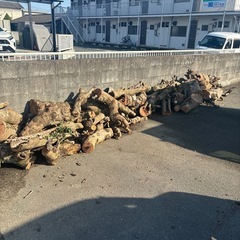 伐採木、差し上げます☆無料の画像