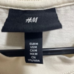 メンズTシャツの画像