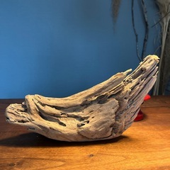 12、羽の様な〜綺麗め流木、天然物、インテリア、オブジェの画像