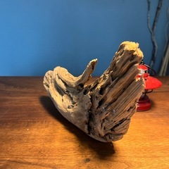 12、羽の様な〜綺麗め流木、天然物、インテリア、オブジェの画像
