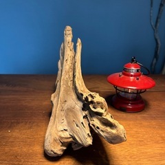 12、羽の様な〜綺麗め流木、天然物、インテリア、オブジェの画像