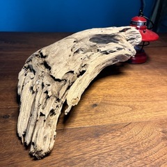 12、羽の様な〜綺麗め流木、天然物、インテリア、オブジェの画像