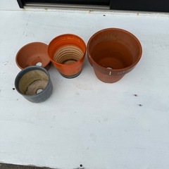 (お引き取り様決定！)植木鉢　4個無料！の画像