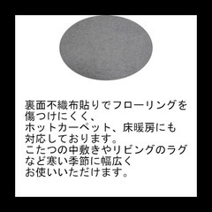【現金引き取りのみ】【残り1点】エマリー ラグ カーペット ブラウン 約3畳 約200cm*250cm 1枚の画像