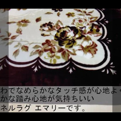 【現金引き取りのみ】【残り1点】エマリー ラグ カーペット ブラウン 約3畳 約200cm*250cm 1枚の画像