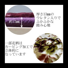 【現金引き取りのみ】【残り1点】エマリー ラグ カーペット ブラウン 約3畳 約200cm*250cm 1枚の画像