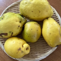 完全無農薬🍀自然栽培🍀香りの良い🍀カリン🍀５個の画像