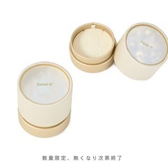 Canal ４℃ オリジナルスノードーム×限定ケースの画像