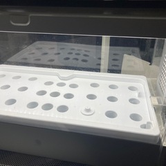 （お取引決まりました）家庭用　水耕栽培器の画像
