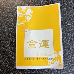 K2511-426 梟 風水マグ 黄 フクロウ マグカップ イエロー 金運 未使用品の画像