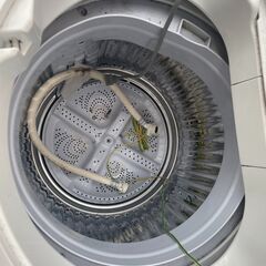 無料洗濯機の画像